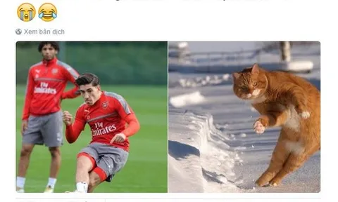 Bellerin 'tự dìm hàng' trên mạng xã hội