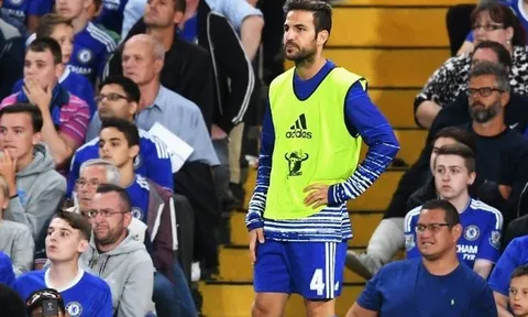 Bị Conte ngó lơ, Fabregas sắp rời Chelsea?