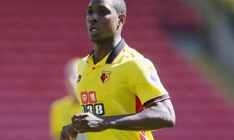 Bỏ lỡ bàn thắng khó tin, tiền đạo Watford bị 'troll' nhiệt tình