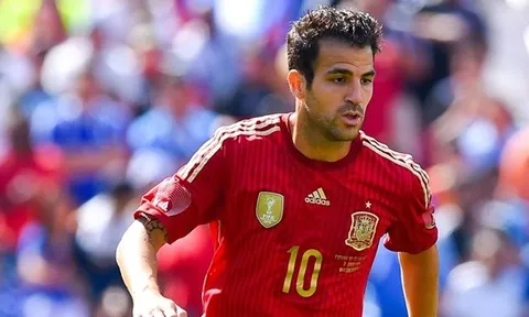 Fabregas bị loại khỏi tuyển Tây Ban Nha: Vì đâu đến nỗi