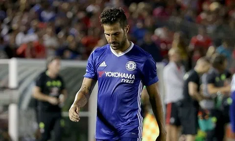 Fabregas nói gì về quyết định rời Chelsea?