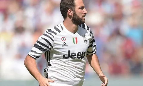 "Higuain trông như một con heo"