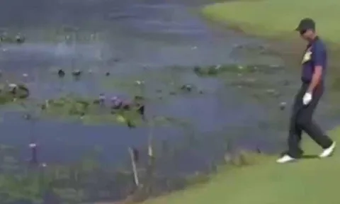 Tay golf cả gan trêu ngươi cá sấu ở Olympic Rio