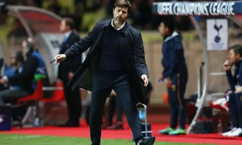 Tottenham bị loại khỏi Champions League, Pochettino thanh minh
