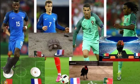 Các tiên tri động vật như đoán thế nào về chung kết EURO 2016?