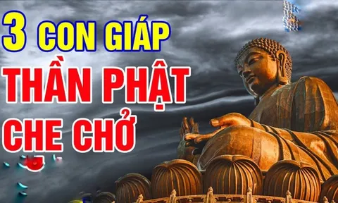 Khổ nạn đi qua, 3 con giáp dựa hơi cửa Phật, viên mãn đến già