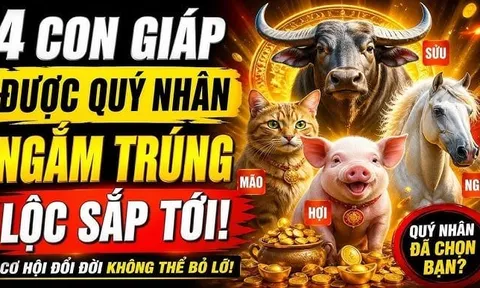 4 con giáp càng kín tiếng càng dễ giàu, âm thầm tích tiền tỷ