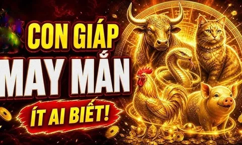 Sổ Vàng thần Tài đưa, 3 con giáp nhận cơn mưa Tiền về