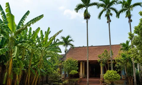 Vì sao người xưa dặn “chuối sau nhà, cau trước nhà”? Nếu đổi vị trí thì có thể ảnh hưởng gì xấu?