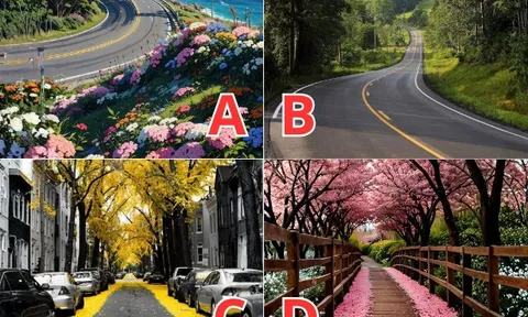 Trắc nghiệm: Chọn 1 con đường theo trực giác để biết bạn sẽ sinh bao nhiêu con trong đời