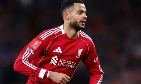 Gakpo lên tiếng cảnh báo Liverpool không đánh giá thấp Chelsea