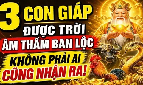 3 con giáp khéo lo cả đời no ấm, 1 tuổi Tiền chảy về đều
