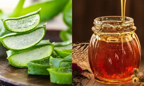 Mật ong kết hợp với nha đam có tác dụng gì cho da?