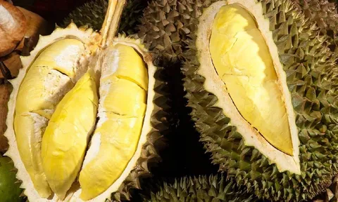 4 mẹo chọn sầu riêng ngon, múi to, cơm dày