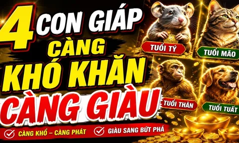 7 ngày tới, 4 con giáp thăng tiến mạnh, làm ăn vào cầu