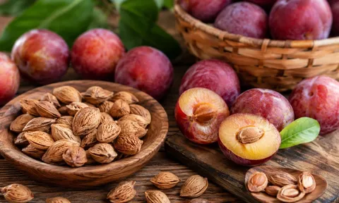 Công dụng bất ngờ của hạt mận với sức khoẻ