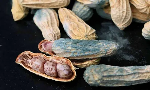 Loại thực phẩm gây ung thư gan, được cảnh báo độc tính cao gấp 68 lần so với thạch tín, nhiều nhà vẫn dùng