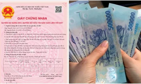 Có nên cho mẹ chồng cùng đứng tên trên Sổ Đỏ nhà đất?