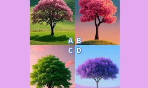 Trắc nghiệm: Chọn một cái cây, biết ngay bạn có thể cùng người ấy an yên đến cuối đời hay không