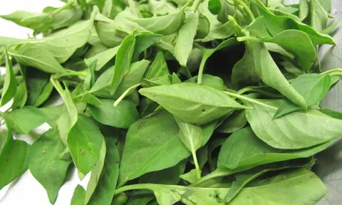 Lá này canxi gấp 2 lần sữa, giúp thanh nhiệt, giải độc còn dưỡng gan, nấu canh cực ngon mà chẳng phải ai cũng biết