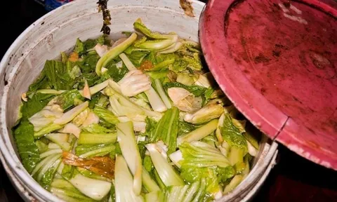 Ra chợ thấy dưa muối đựng trong thứ này: Cảnh báo nguy cơ “rước họa vào thân”