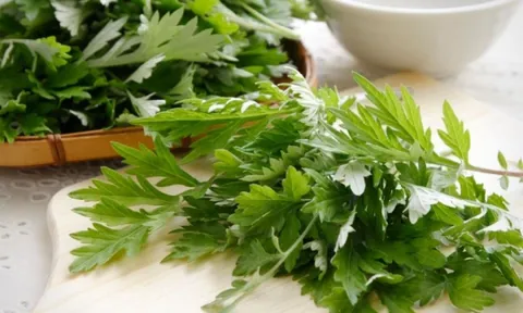 Xông mặt bằng ngải cứu đúng cách giúp da sạch sâu, giảm mụn và thư giãn hiệu quả
