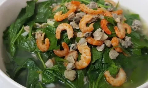 Cây này nghe tên lạnh cả gáy, xưa cho lợn ăn nay thành đặc sản, có tiền chưa chắc đã mua được, xào hay nấu canh đều ngon