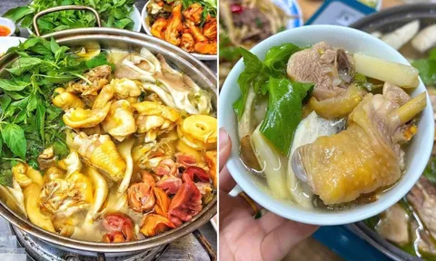 Bí quyết nấu lẩu gà lá é chuẩn vị, nguyên liệu đơn giản