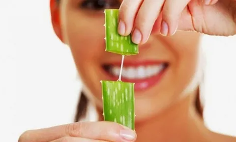Gel lô hội không chỉ làm dịu da mà còn mang lại nhiều lợi ích cho tóc và da đầu