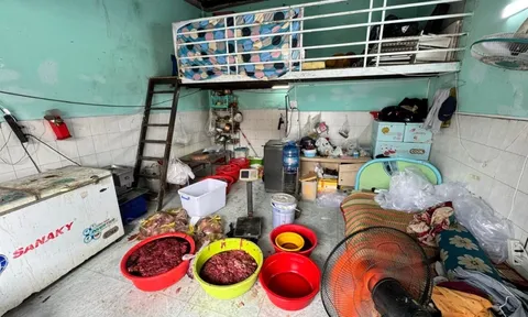 Triệt phá cơ sở sản xuất hơn 65 tấn thịt bò giả, thịt ngâm hóa chất tuồn ra thị trường