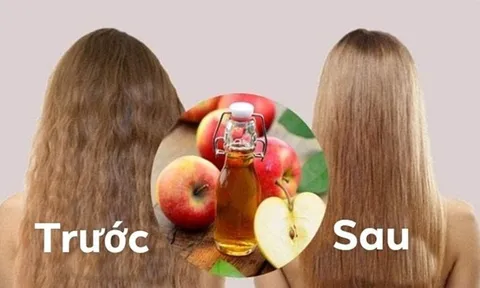 4 nguyên liệu tự nhiên giúp phục hồi tóc khô xơ, gãy rụng ngay tại nhà