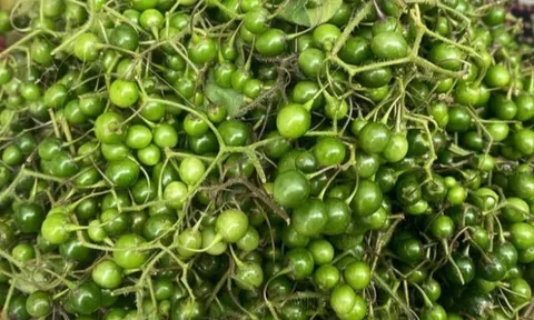 Loại quả xưa rụng đầy gốc không ai ngó ngàng, giờ thành đặc sản được dân thành phố săn lùng, 200.000 đồng/kg