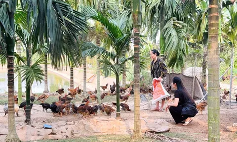 Bỏ công việc ổn định ở thành phố, nữ thủ khoa chọn sống giữa trang trại rộng hàng nghìn mét vuông