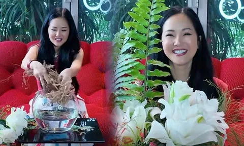 Diva Hồng Nhung bất ngờ công khai độc thân?