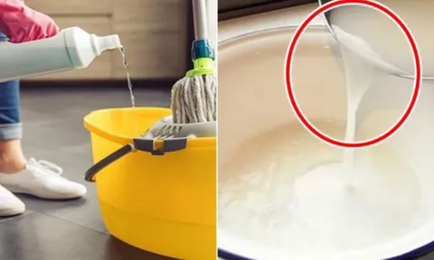 Đừng chỉ lau nhà với nước lã: Cho thêm thứ này vào sàn nhà sạch bong cả tuần không bám bụi