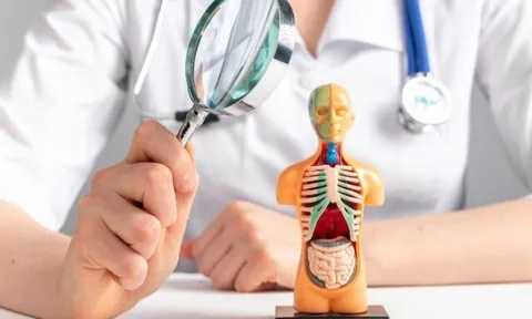 Bộ phận nào dễ bị tổn thương bởi thói quen ăn uống hằng ngày, chỉ cần thay đổi nhỏ sẽ phục hồi rất nhanh?