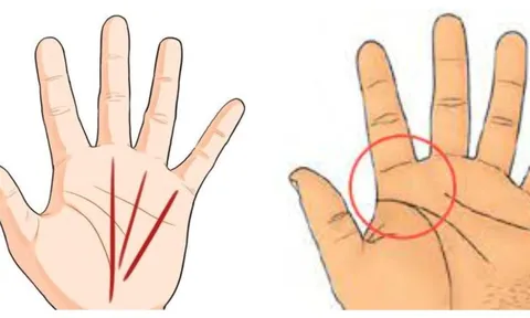 4 nét tướng trên bàn tay giàu có: Ai có được chính là cực phẩm may mắn