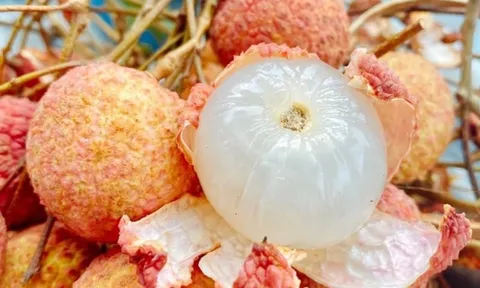 5 điều cấm kỵ khi ăn quả vải: Nhiều người Việt đang vô tình mắc phải mà không biết