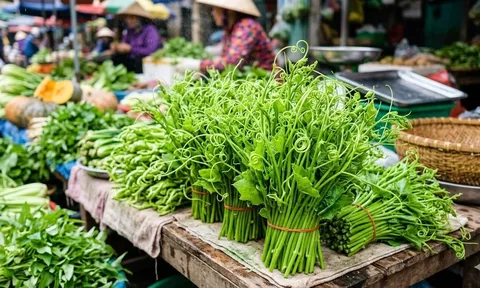 Bác sĩ Đông y gợi ý loại rau nên ăn mùa nóng: Ít calo, giàu khoáng chất, hợp cả người bị gút