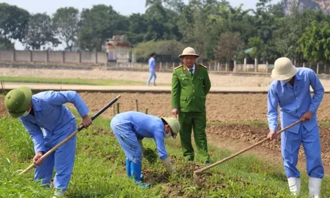 Tại sao cùng sử dụng ma túy nhưng có người đi tù, có người thì không?