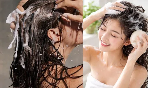 Gội đầu nên thoa dầu gội lên tóc hay lên da đầu? Nhiều người đang làm sai nên không sạch còn hại tóc