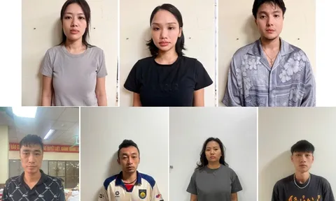 Miu Lê có thể đối diện mức án bao nhiêu năm tù?