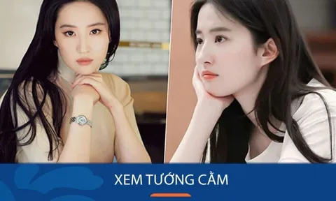 Người có tướng cằm này càng già càng giàu có