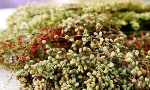 Loại quả xưa dành cho "người nghèo", nay thành đặc sản khoái khẩu trong nhà hàng, hương vị đặc biệt