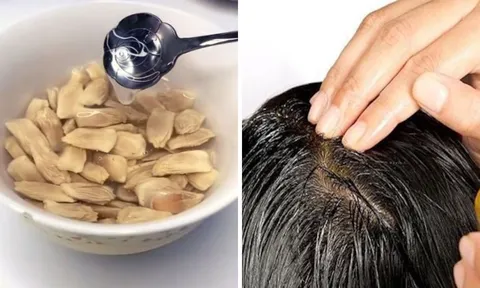 Dùng hạt bưởi gội đầu theo cách này: Tóc thưa mỏng đến mấy cũng mọc lên tua tủa, mượt mà, ít rụng