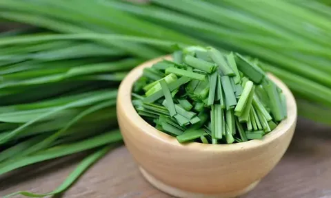 Loại rau dân dã nhiều người chê ví như “trợ thủ vàng” của sức khỏe với 5 lợi ích tốt hơn cả thần dược