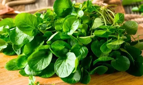 13 loại rau tốt nhất thế giới, là "kho vitamin tự nhiên", ngoài chợ Việt bán đầy với giá rẻ, từ 5.000 đồng là mua được