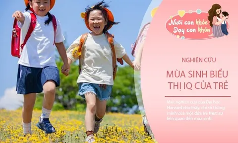 Mùa sinh quyết định chỉ số IQ, trẻ sinh ra vào mùa này có lợi thế thông minh