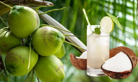 Cách uống nước dừa làm tăng chức năng gan thận