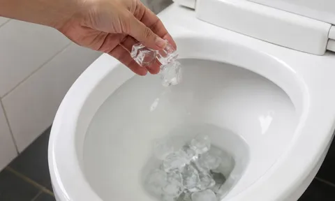 Đổ đá lạnh vào bồn cầu có tác dụng gì? Nhiều người bất ngờ, ai biết cũng muốn làm theo